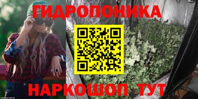 винт Тула