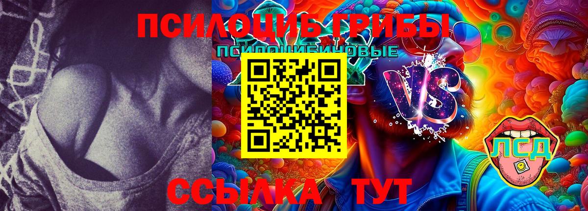 Галлюциногенные грибы Psilocybe  Вход с VPN  Канск 