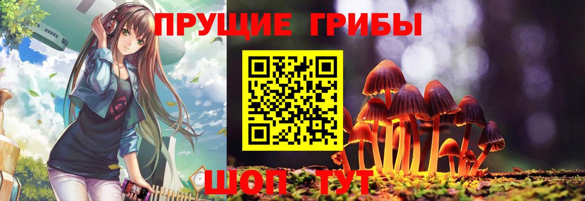 Псилоцибиновые грибы MAGIC MUSHROOMS Канск